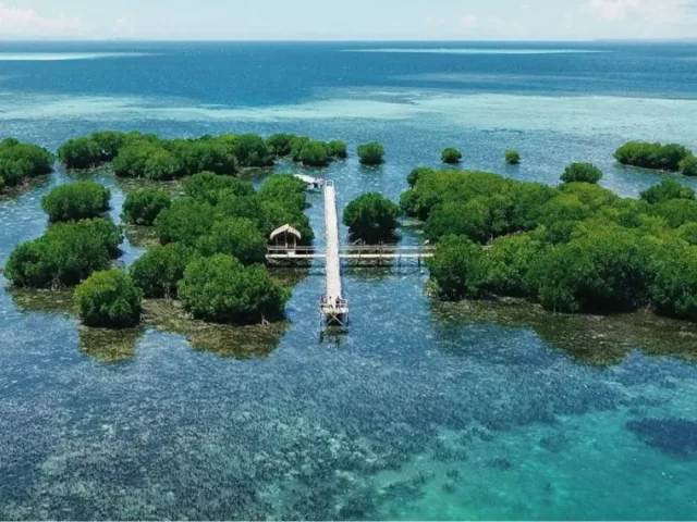 Gili Kondo 323