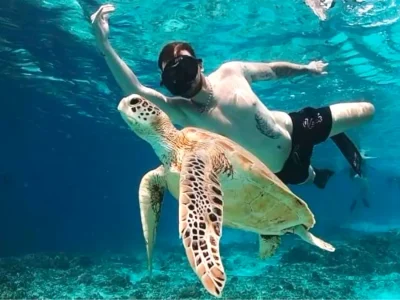 snorkeling gili2